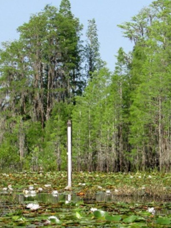 PascoCounty